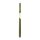 Leuze Solid 4 Transmitter SD4T30-600