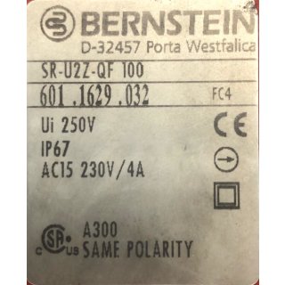 Bernstein SR-U2Z-QF 100 601.1629.032 SRU2ZQF100 6011629032