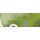 EWM High-Tech Precision 044-001517-002L