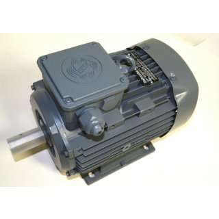 Behncke Q2E100L2C-41 Electric Motor 3kW 50Hz:400V IP55 